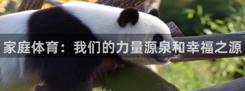 熊猫体育公园