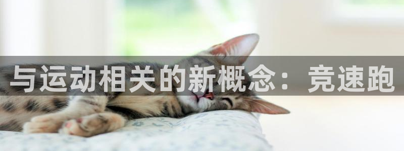 熊猫体育平台