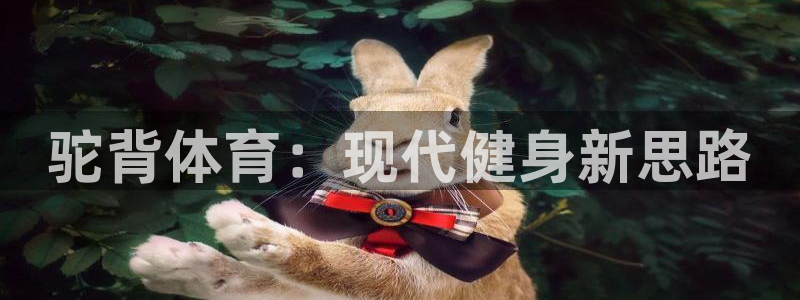 熊猫体育直播nba