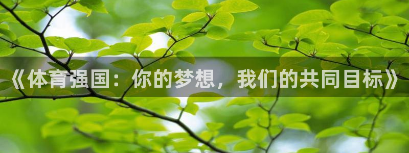 熊猫体育免费下载