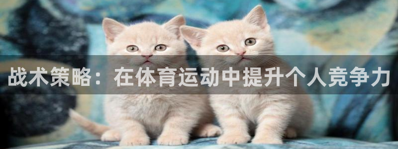 熊猫体育网站