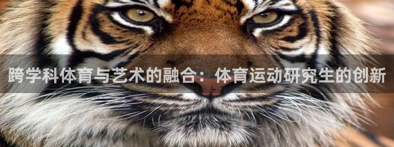 熊猫体育app官网入口