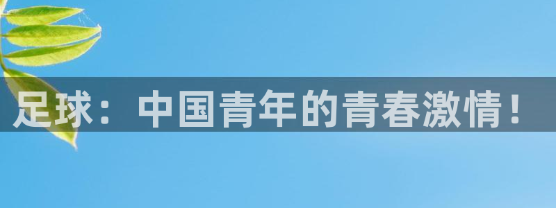 动感熊猫体育公园