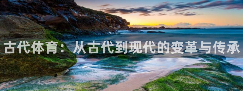 熊猫体育平台官网
