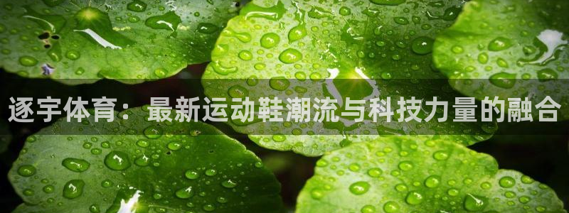 熊猫体育在线