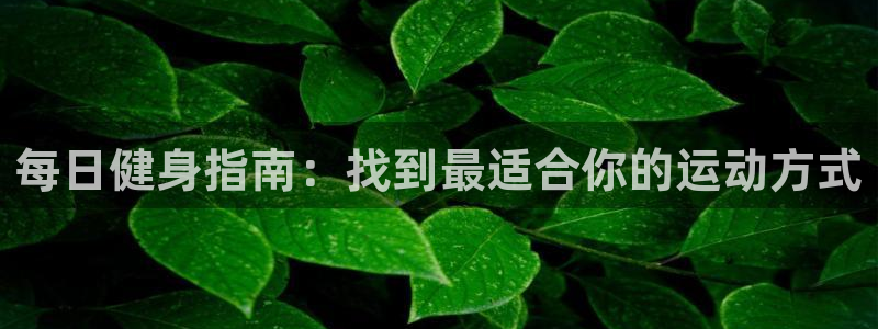 下载熊猫体育