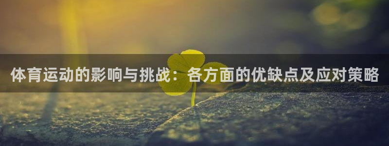 熊猫体育在线观看