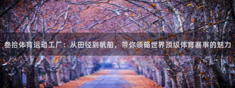 熊猫体育nba